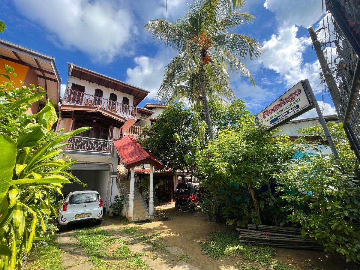 Flamingo Guest house Unawatuna Extérieur photo